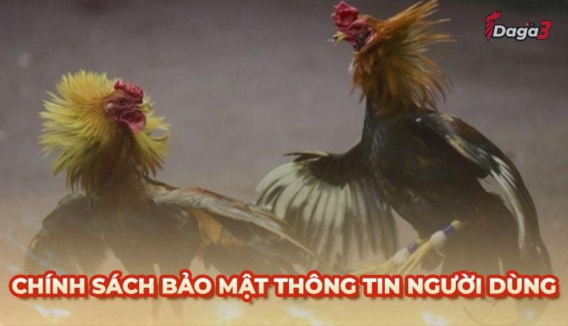 Chính sách bảo mật thông tin người dùng tại datatoolkit.co