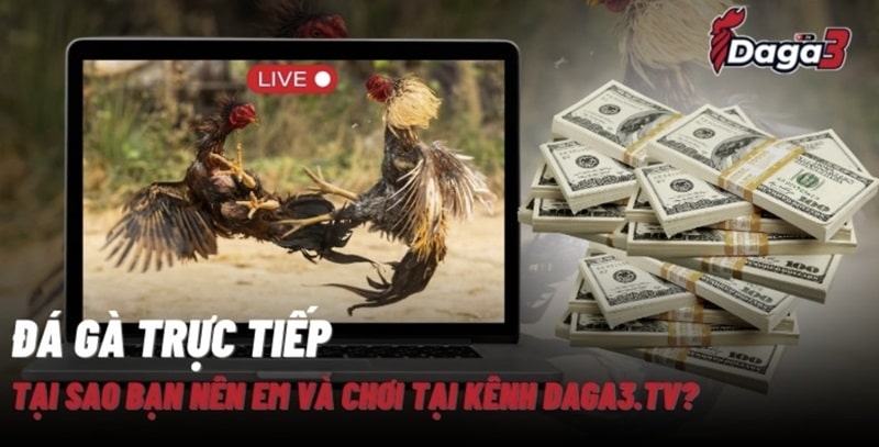 Giới thiệu về kênh đá gà trực tiếp thomo datatoolkit.co