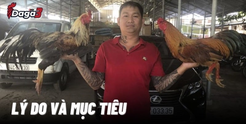 Mít Trà Cú sáng lập trang đá gà trực tiếp datatoolkit.co